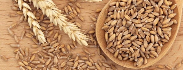 NUEVOS CEREALES: ESPELTA Y TRIGO BULGUR