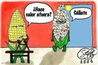 Todo lo que necesitas saber en caso de "ola de calor"
